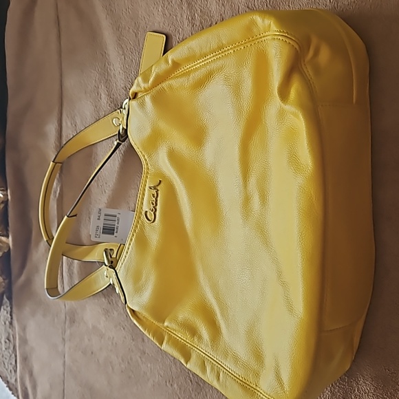 Nwt Coach hobo bag - Picture 1 of 7
